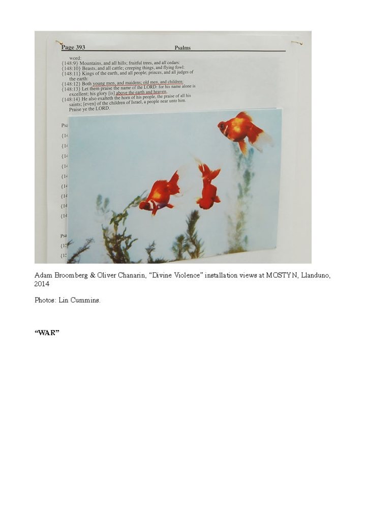 Mousse_Adam Broomberg & Oliver Chanarin “Divine Violence” and “WAR” at MOSTYN, Llandudno - MOUSSE CONTEMPORARY ART MAGAZINE_Page_07