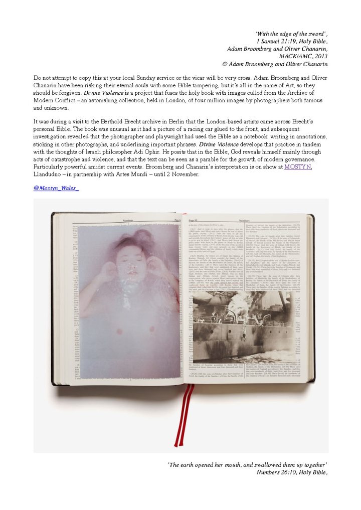 WeHeart_Adam Broomberg and Oliver Chanarin — Divine Violence_Page_2