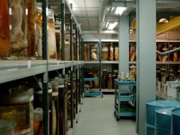 64031-Shezad-Dawood-Leviathan