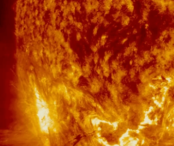 Screen Shot 2017-12-02 at 11.56.43 AM