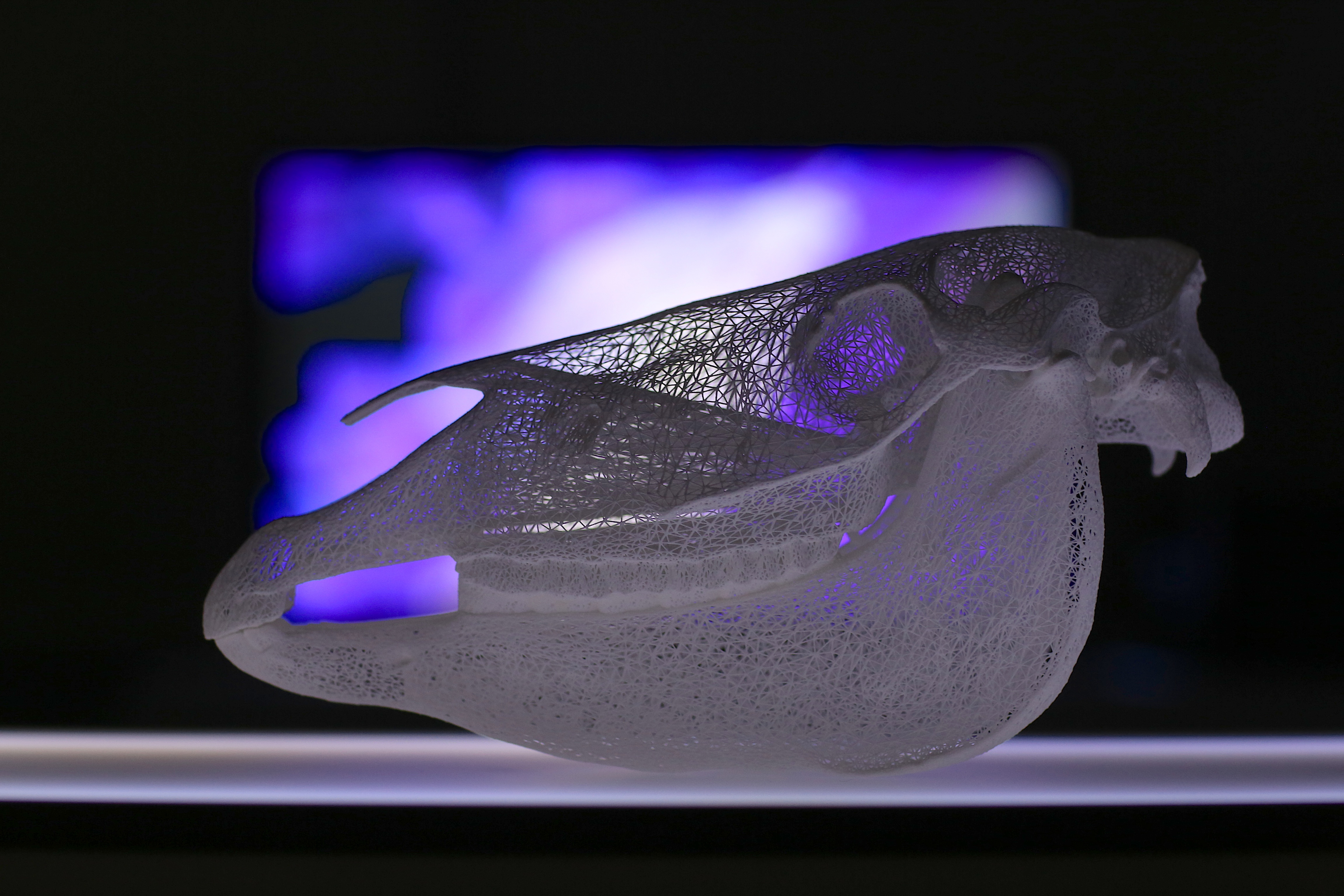 De-coding_©atherton-chiellino_ 07